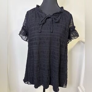 Violet Skies Black Sheer Textured Blouse Size Medium Short Flutter sleeves